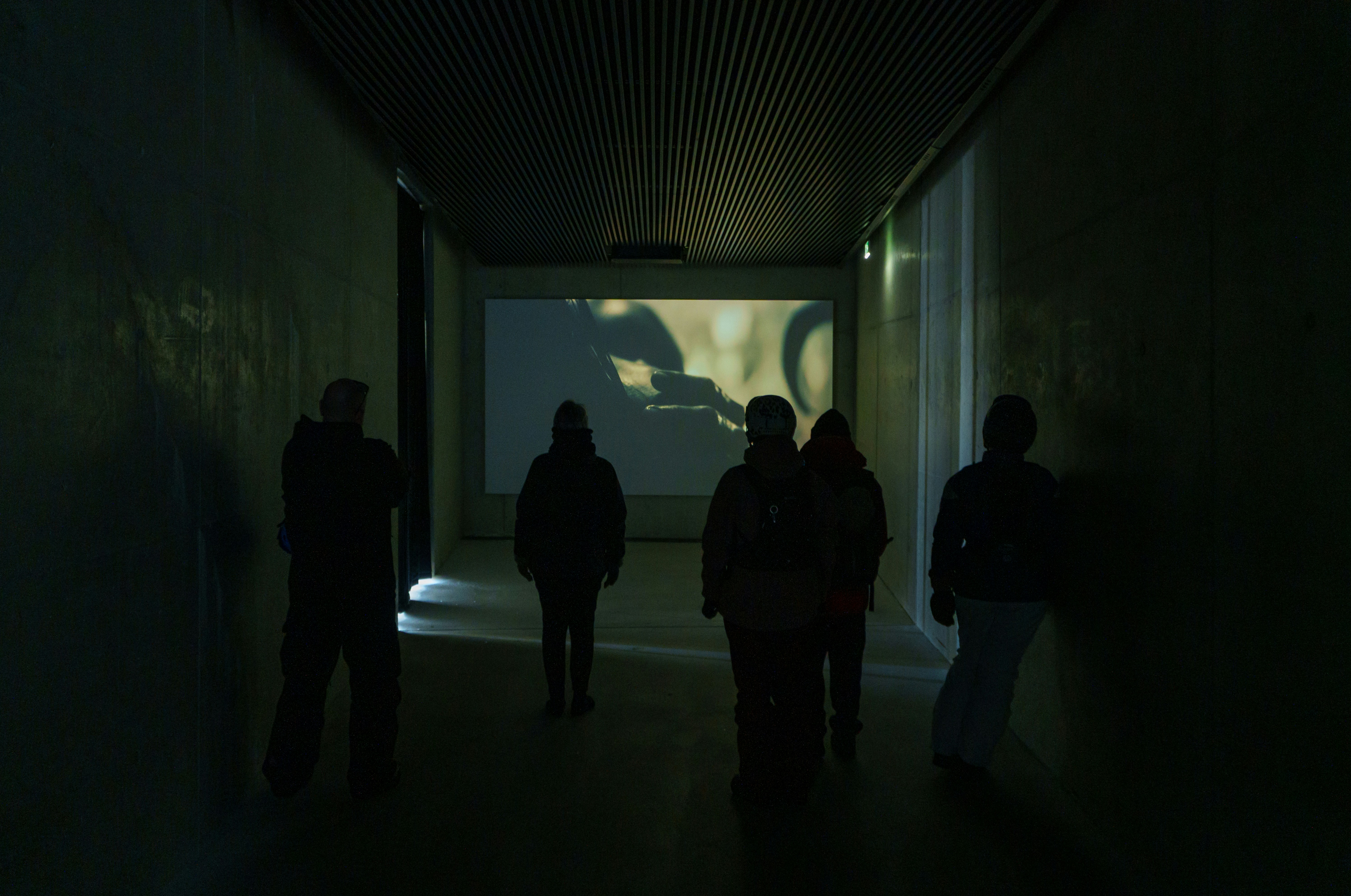 Audience seated in a small theater watching an independent film screening